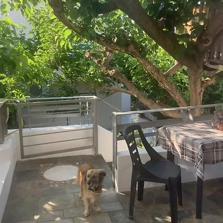 Diminio House Apartamento